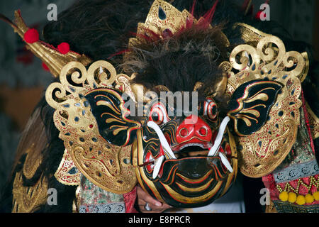 Close-up Waksirsa Schwein Barong Tanz Ubud Bali Indonesien Stockfoto