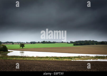 Essex, England. 13. Oktober 2014.  Tief liegende Felder in Essex sind nach einer Nacht mit sintflutartigen Regenfällen überflutet. Bildnachweis: Gordon Scammell/Alamy Live-Nachrichten Stockfoto