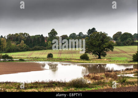 Essex, England. 13. Oktober 2014.  Tief liegende Felder in Essex sind nach einer Nacht mit sintflutartigen Regenfällen überflutet. Bildnachweis: Gordon Scammell/Alamy Live-Nachrichten Stockfoto