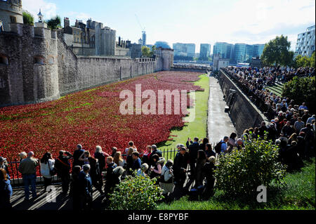 London UK Oktober 2014 - Besucher im Tower von London Mohn WW1 zu gedenken Stockfoto