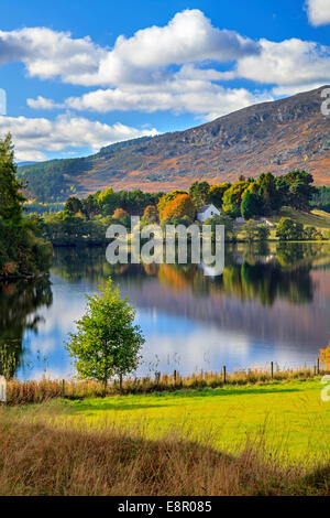 Loch Alvie in den Cairngorms National Park in Schottland Stockfoto