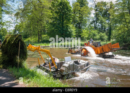 Französisch Wasserstraße, aquatische Unkraut ernten Stockfoto