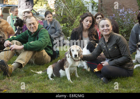 Segnung der Tiere Service in eine Bischofskirche Garten in Brooklyn, New York. Stockfoto