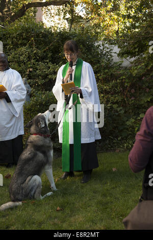 Segnung der Tiere Service in eine Bischofskirche Garten in Brooklyn, New York. Stockfoto