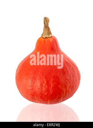 Red Kuri Squash isoliert auf weißem Hintergrund Stockfoto