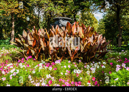 Blumenbeet im Moskauer Gorki-Park. Rinderkotelett Zusammensetzung Stockfoto