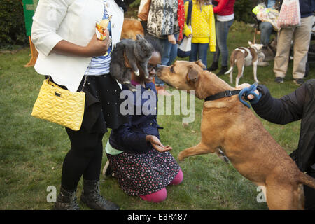 Segnung der Tiere-Dienst in einem Garten der Episcopal Church in Brookjlyn, New York. Stockfoto