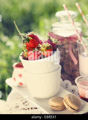 Frühlingspicknick mit Erdbeere, Cookies, Erdbeer Milch, Gelee und Makronen Stockfoto