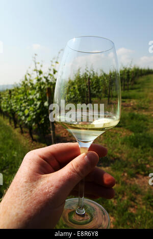 Weinprobe auf dem Weingut Wein Schloss Vollrads in Oestrich-Winkel, Deutschland. Stockfoto