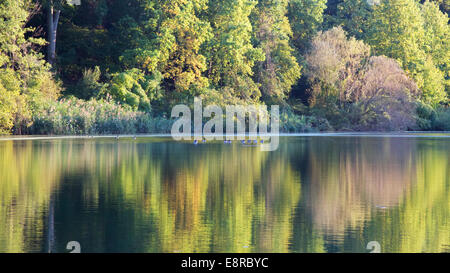 Ruhe fallen See am Nachmittag leichte in Queens, NY, USA. Stockfoto