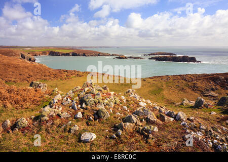 Der Pembrokeshire Coast in der Nähe von Ogof Cadno mit Position Yr Rsgob Inseln im St. Brides Bay in der Ferne. Stockfoto