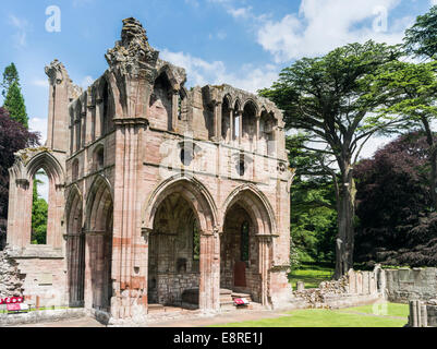 Dryburgh Abbey, Tal des Flusses Tweed, Kloster der Prämonstratenser, Grabstätte von Sir Walter Scott und Douglas Haig. Stockfoto