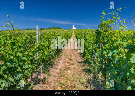 Weinberg, fernen Kapelle auf Hügel, Tokajer Wein Region, nördlichen Hochland, Borsod-Abauj-Zemplen County, Ungarn Stockfoto