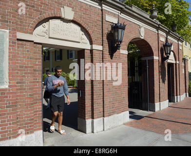 Eingangstore, Harvard College/Harvard University Stockfoto