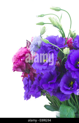 Violett und lila Eustoma Blumenstrauß Stockfoto