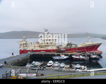 Trawler Altaire an Collafirth Steg, Shetland-Inseln, Schottland. (Großformatige Größen erhältlich) Stockfoto