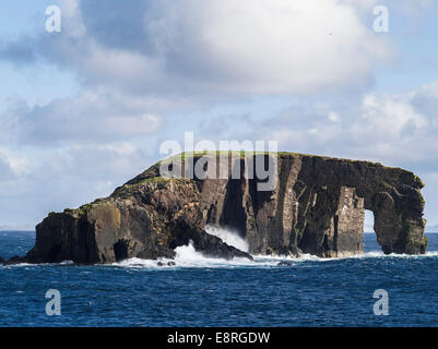 Landschaft auf der Halbinsel Eshaness, den Bogen genannt Dore Holm, eines der Symbole von Shetland, Shetland-Inseln, Schottland. Stockfoto