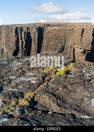 Landschaft auf der Halbinsel Eshaness. Die berühmten Klippen und Meer-Stacks von Eshness, eine der Hauptattraktionen auf den Shetland-Inseln. Stockfoto