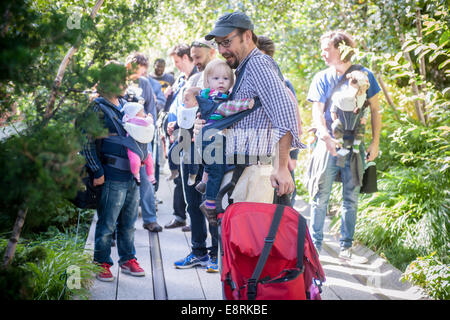 Ca. 15 Mitglieder des Arbeitskreises NYC Dads feiern International Babytragen Week mit einem Spaziergang auf der High Line Stockfoto