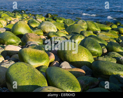 Rackwick Bay Beach, Hoy Island, Orkney Inseln, Schottland. (Großformatige Größen erhältlich) Stockfoto