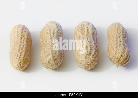 Erdnüsse in der Schale Stockfoto