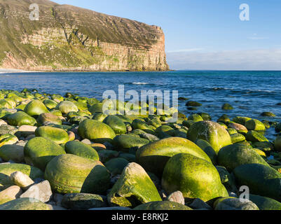 Rackwick Bay Beach, Hoy Island, Orkney Inseln, Schottland. (Großformatige Größen erhältlich) Stockfoto