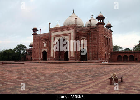 Moschee des Taj Mahal in Agra in den frühen Morgenstunden mit einem Hund sitzen auf einer Bank Stockfoto