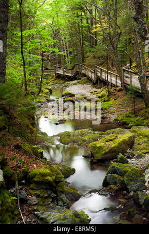 Dickson Falls Trail - Fundy National Park - in der Nähe von Alma, New Brunswick, Kanada Stockfoto