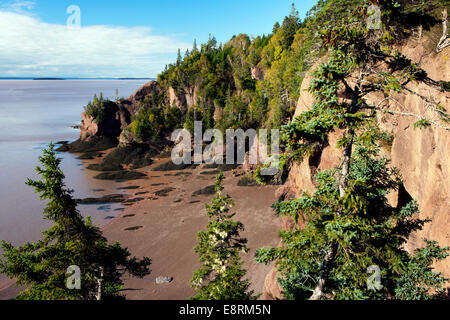 Hopewell Rocks - Rocks Provincial Park - Hopewell Cape, New Brunswick; Kanada Stockfoto