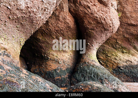 Hopewell Rocks - Rocks Provincial Park - Hopewell Cape, New Brunswick; Kanada Stockfoto