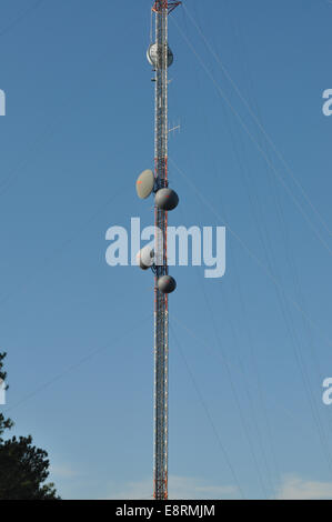 Eine Mikrowelle Radio-Antenne, die für die Kommunikation verwendet wird. Stockfoto