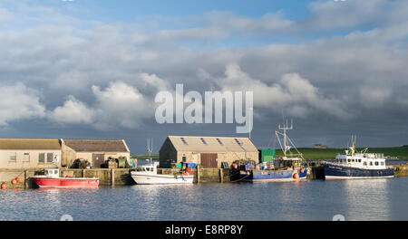 Pierowall Hafen, der Hauptort auf Westray, einer kleinen Insel im Orkney Archipel, Orkney Inseln, Schottland. Stockfoto