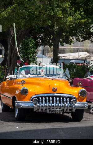 Vintage American gelb 1950 Buick Cabrio für gefüttert mieten als Taxis und Fahrzeug auf dem Prado im Zentrum Havanna Kuba-tour Stockfoto