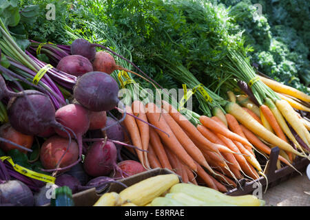 Frische Bio Produkte zum Verkauf an Hamilton Bauern Markt Co-op-Hamilton, Ravalli County, Montana, USA Stockfoto