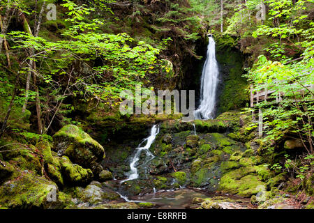 Dickson Falls Trail - Fundy National Park - in der Nähe von Alma, New Brunswick, Kanada Stockfoto