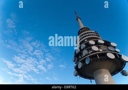 Telstra Tower auf dem Gipfel von Black Mountain, Canberra, Australien, mit dem Mond. Stockfoto