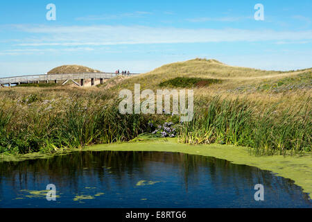 Cavendish Dünen - Prince Edward Island National Park - Prince Edward Island, Canada Stockfoto