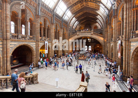 Der Central Hall im Natural History Museum in London. Vereinigtes Königreich. Stockfoto