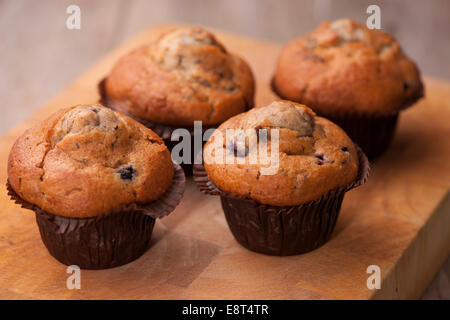 frische Blaubeer-muffins Stockfoto