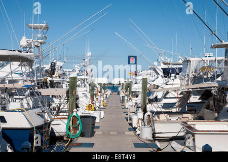 Angelboote/Fischerboote und Yachten in der Marina von Key West, Florida Stockfoto