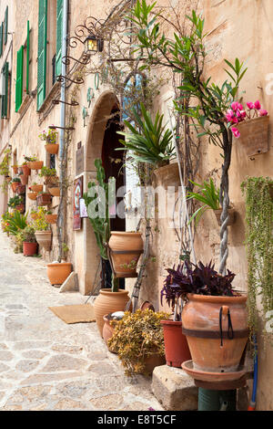 Narrox Straße geschmückt mit Blumen, Valldemossa, Mallorca, Balearen, Spanien Stockfoto