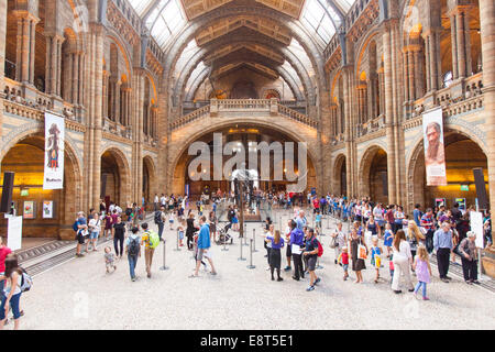 Der Central Hall im Natural History Museum in London. Vereinigtes Königreich. Stockfoto