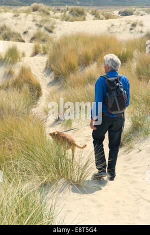 Senior woman Wandern mit Hund in den Dünen Stockfoto