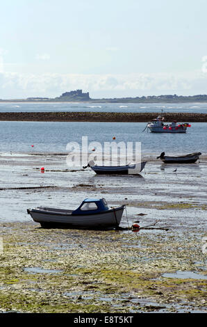 Blick nach Süden in Richtung Bamburgh Castle vom Hafen auf der Insel Lindisfarne (Holy Island), North East England. Stockfoto