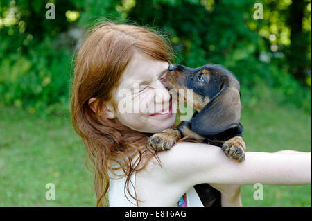 Mädchen hält ein Welpe, Wire-haired Dackel, Deutschland Stockfoto