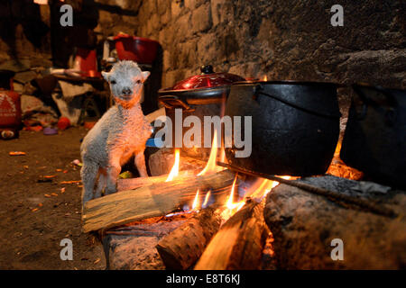 Lamm am offenen Feuer der Union Potrero, Quispillacta, Ayacucho, Peru: traditionelle Ofen aufwärmen Stockfoto