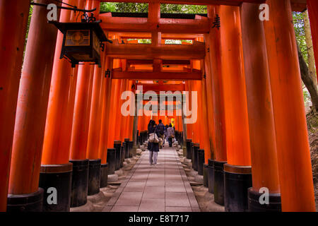 Torii oder Tore zum Inneren Heiligtum, Fushimi Inari-Taisha Schrein, Kyoto, Japan Stockfoto