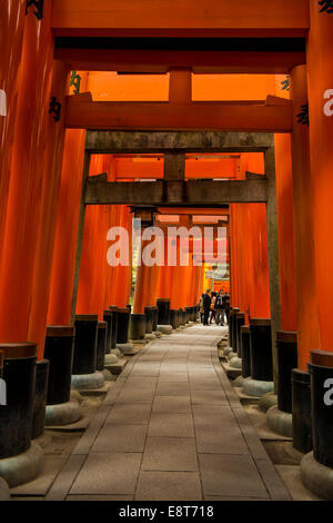 Torii oder Tore zum Inneren Heiligtum, Fushimi Inari-Taisha Schrein, Kyoto, Japan Stockfoto