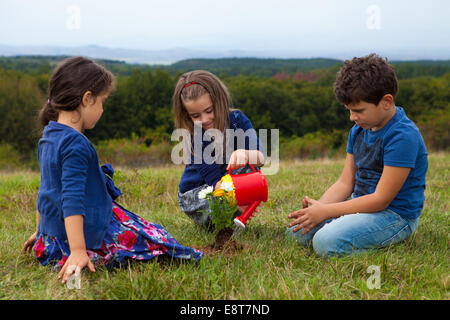 Kinder im Garten und Bewässerung von Pflanzen mit einer Spielzeug-Kunststoff-Gießkanne Stockfoto