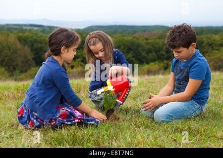 Kinder im Garten und Bewässerung von Pflanzen mit einer Spielzeug-Kunststoff-Gießkanne Stockfoto